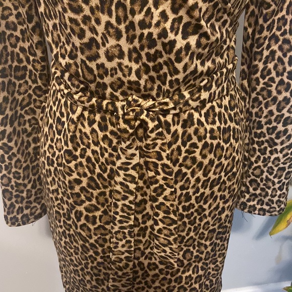 Meow!!! Fun Leopard Print Faux Wrap Dress - Picture 3 of 8